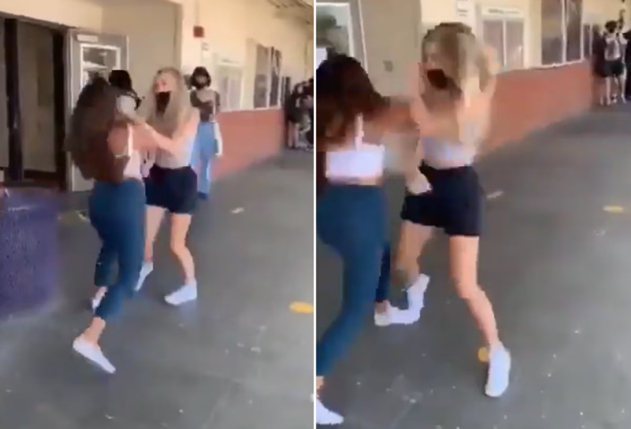 Fight Viral Video