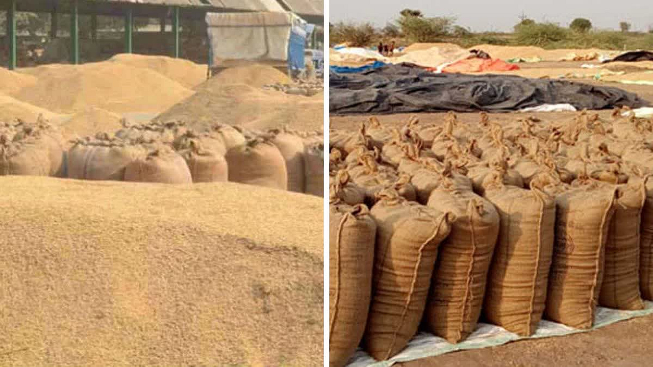 REWA NEWS: शुक्ला वेयर हाउस में 8628 क्विंटल धान का ‘गबन’, विधानसभा में गूँजा 2.24 करोड़ की शार्टेज का मुद्दा
